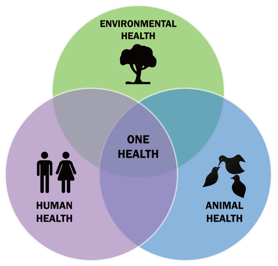 I 3 pilastri della One Health