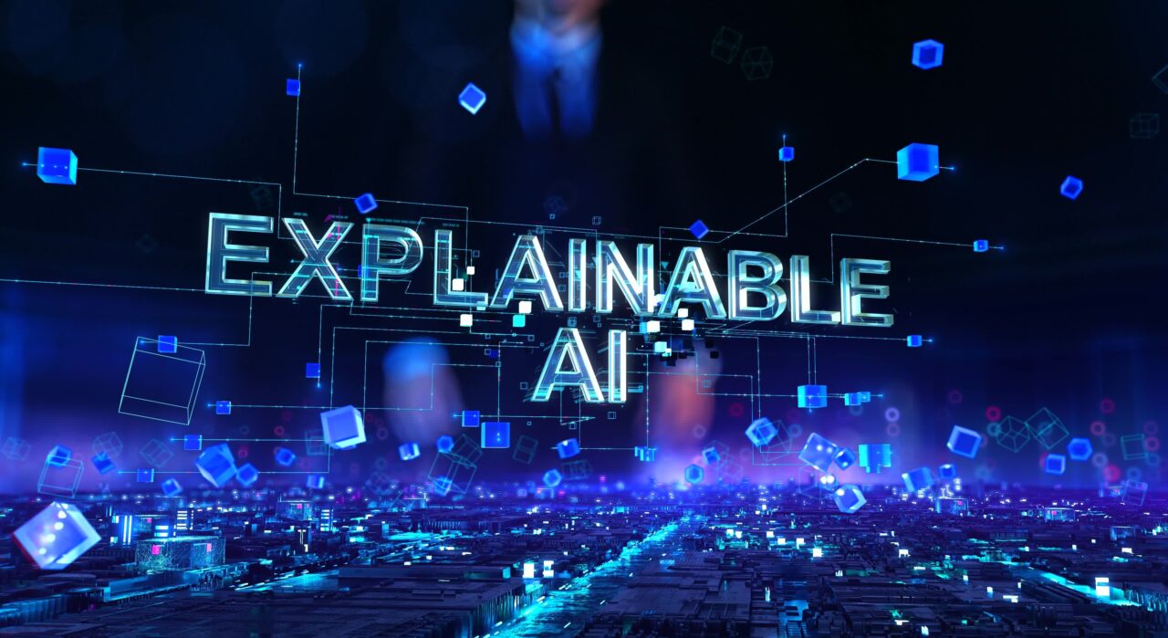 xAI-explainable-AI-sanita